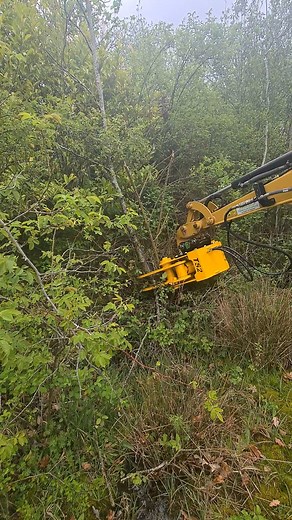 TS02 2.5 to 5t Tree Shear | DIGBITS