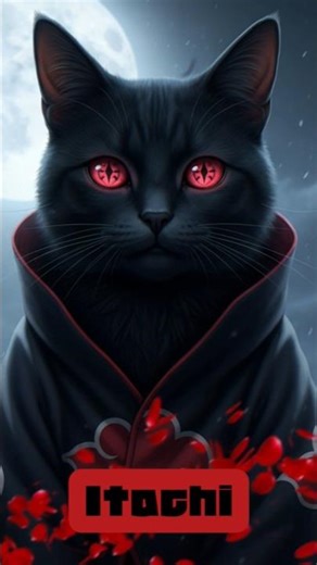 Naruto… but in a CAT UNIVERSE 🐱🍥