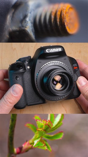 18 reactions | Our C-mount to Canon EF adapter is a macro focus only adapter. Use vintage and modern C-mount lenses on your Canon EF mount camera to create macro photos like these. Link in bio to learn more. - - #cmount #cctvlens #cmountlens #fotodiox #fotodioxpro #canonef #lensadapter #fujian35mm #manuallens #plantphotography #macro #macrolens #macroprotography #photographer #camera #canonrebel #canonrebelt3i | Fotodiox Inc. | Facebook