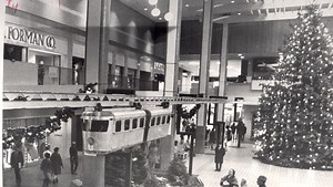 City gets no proposals for monorail