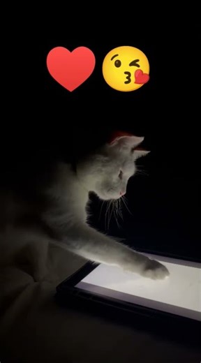 2 de janeiro de 2026