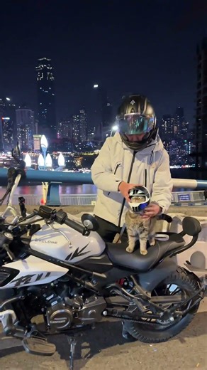 How to Safely Take Your Cat for a Walk: The Ultimate Guide