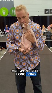 2.6K views · 515 reactions |  Best of Sphynx — No fur, no problem! ...
