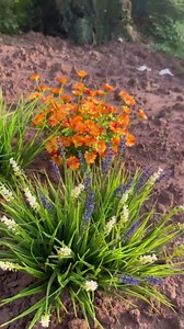 alyptus Outdoor Artificial Flowers 12 Bundles Plastic Plants Faux White Flower Fake Monkey Grass for Planters Décor Outside (White)