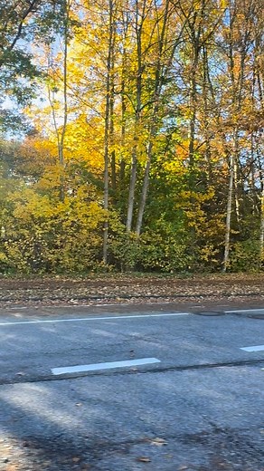 Busfahrt in #Kiel an einem sonnigen Herbstnachmittag mit #KVG Linie 81 in der Leibnitzstraße zur Endhaltestelle Botanischer Garten | We love Kiel