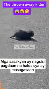 The thrown away kitten #fblifestyle #catlover #catscare #catslife #cats #catreels #fypviralシ #catrescue | Lani Balberan Gorion