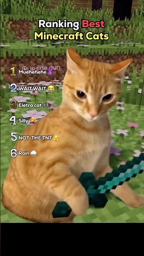 Ranking The Best Minecraft Cats 💀 #minecraft #minecraftshorts #minecraftmemes