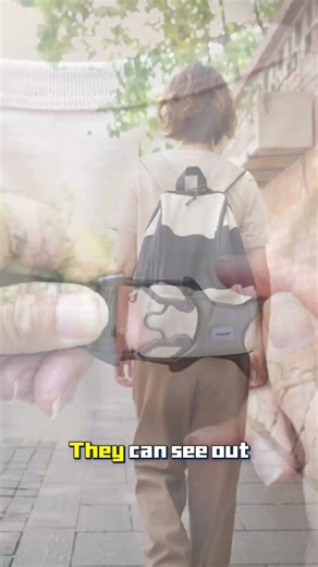 Full-view mesh improves airflow and visibility to help them stay calm.#PetParkSelect