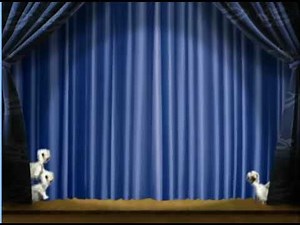 little einsteins love to conduct