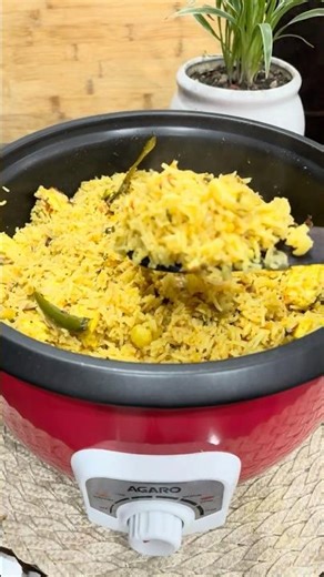 Agaro Electric Multi Cooker | Electric Cooking Pot Review and Recipe #shortvideo