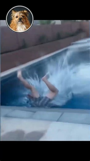 10 Seconds Before Disaster 😂 #funnyvideos #epicfails #failcompilation #shortfails