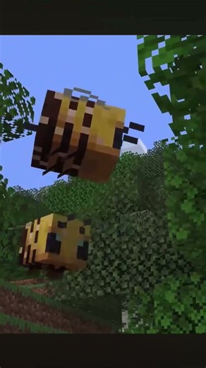 #minecraft hacks