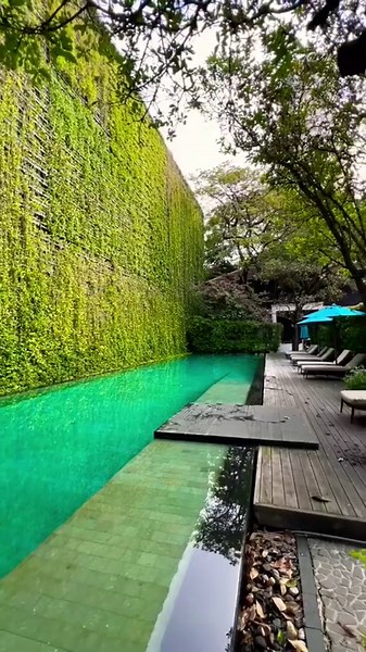 Have you EVER seen a pool like this?! 137 Pillars House Chiang Mai #shorts