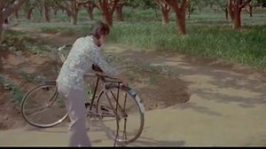 一代人的经典回忆，二八大杠的传奇故事