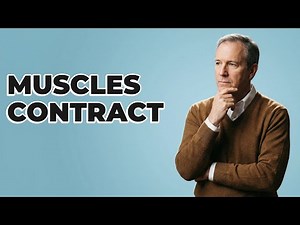 How Do Prostate Muscles Contract During Ejaculation?