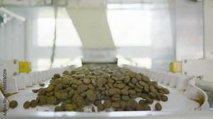 The process of making animal feed. The working process of food preparation for dogs and cats. Food for pets.