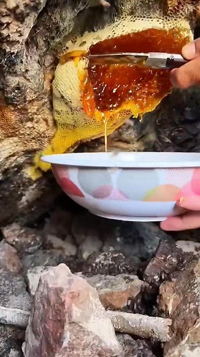 64K views · 360 reactions | This is the process of making a vinyl record. #knowledge #shorts | Curio Scope | Facebook