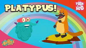 1.3K views · 31 reactions | Hey Kids, have you ever heard of a platypus or have ever seen them? Well, Dr. Binocs explains this snobby creature in this video all the more in detail in his interesting style. | Peekaboo | Facebook