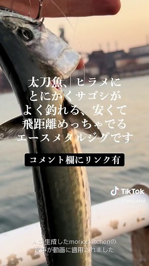 ライトショアジギングでメタルジグ使用！おすすめカラーはメタルマル