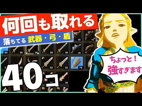 [攻略] 何回も取れる強い武器・弓・盾の場所！序盤から戦闘なしで40コ集める [ゼルダの伝説 ブレスオブザワイルド]