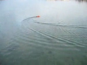 Robbe Prinzess RC Outboard Boat with Roqua Outboard