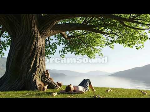Relaxing Nature Sounds for Sleep, Stress Relief & Deep Relaxation – Calm Mind & Body. #relaxing