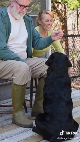 Alex Channel على TikTok