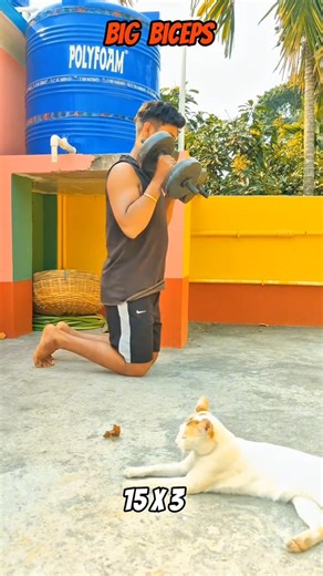 Day 4 Biceps workout 📍 🙏| #foryou #forearmworkout #lifestyle #homeworkout #gym#hardwork #short