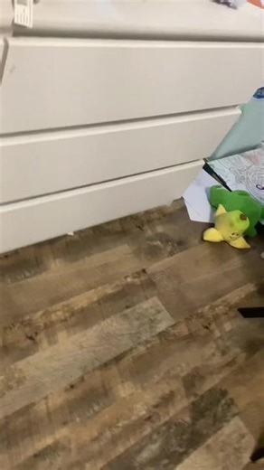 Goofy Goober :D (@goofy.goober640)’s videos with original sound - Goofy Goober :D