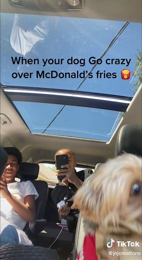 #When your #dogsoftiktok go crazy over #mcdonald ’s fries | jnjcreations