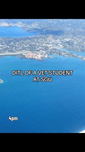 ✈️🇺🇸 Going back home for my U.S. citizenship interview! Not an every-Friday trip… but definitely a good reason to travel 😌✨ #vetstudent #vetschool #fyp #vetmed #travel @Sarah - vet student