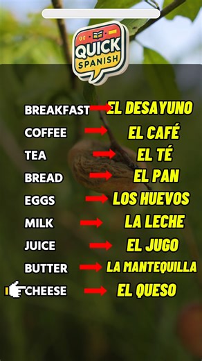 Vocabulary!!! | Quick Spanish