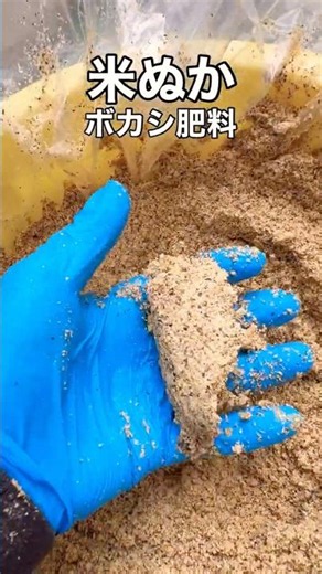 【自家製】米ぬかボカシ肥料を作ってみた