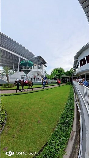 Festival Hípico- Hipódromo Presidente Remón #horseracing #caballos #panama