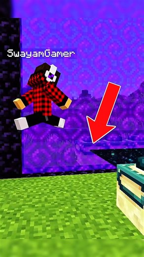 What If We Got Inside End & Nether Portal At Same #minecraft #shorts