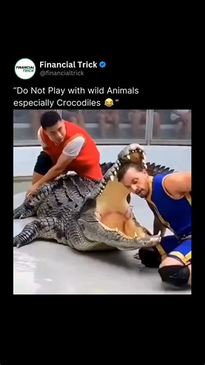 Motivation | Business | Technology on Instagram: "Follow (US) 👉 @Financialtrick to learn something new everyday! This Reel is a perfect case study in how **danger, irony, and controversy collide to create virality**. The footage shows two performers at a tourist crocodile show—one in a red athletic shirt, the other in a blue tank top—kneeling beside a restrained crocodile and calmly placing their heads inside its open jaws. The crowd applauds. The moment feels unreal. Visually striking. Deeply