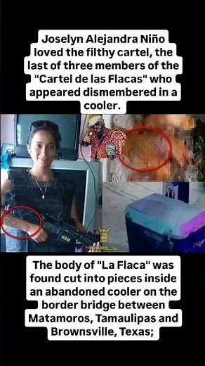 Joselyn Alejandra Niño loved the filthy cartel, the last of three members of the "Cartel de las
