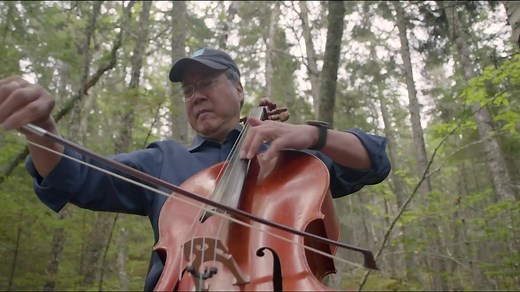 6.4K views · 431 reactions | The second volume of ‘For the Birds: The...