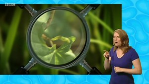 Minibeast Adventure with Jess 1. Caterpillar b04219t7 signed