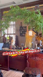 Tien Quan Nguyen on Reels