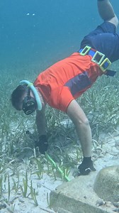 Catching Lobster Under a Kitchen Sink | Ryan Myers Spearfishing