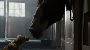 America's favorite unlikely friendship was first introduced in Budweiser's "Puppy Love" (2014). Directed by Jake Scott, it's the #1 most watched Super Bowl Commercial on YouTube. Join us in looking back at a few of our favorite spots leading up to Sunday's big game! bit.ly/RSASBcountdown | Ridley Scott Creative Group