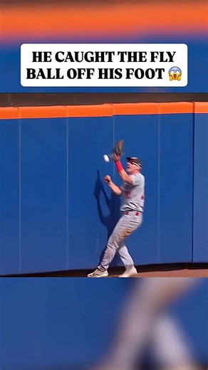 2.4K views · 11 reactions | Funny Baseball Memes on Reels | Facebook