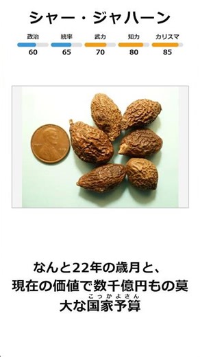 【究極の愛妻家】シャー・ジャハーン…妻への愛が重すぎて国を傾けた皇帝【世界史全人物評価#38】 #shorts