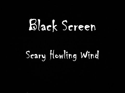 1 Hour Scary Howling Wind Sound | Black Screen
