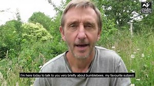 Prof Dave Goulson, one of the UK's leading bumblebee experts, shares with us his top tip to help our declining insects and how to take #ActionForInsects by not mowing our lawns so often. @DaveGoulson https://www.suffolkwildlifetrust.org/action-insects-0 | Suffolk Wildlife Trust