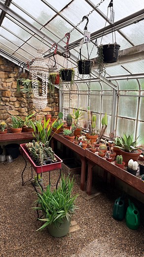 Heres to a year enjoying this property and its small joys, like the rain falling on the greenhouse. 🪴🌧️ | Root 31