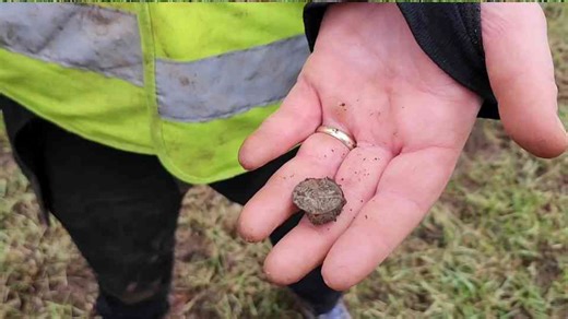 Hidden for centuries - gold and silver found during an organized dig