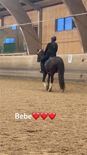 Titta ba på hnm hur söt han e❤️ #horse #equestrian