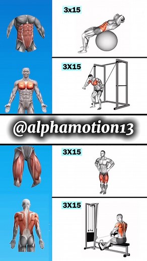 Hit All Major Muscles in One Workout – Abs, Chest, Legs & Back! 💥 Train smarter with this full-body workout 🔥 We’re targeting core, chest, legs, and back with 4 powerful exercises (3×15 each). Whether you’re at the gym or at home, this routine builds strength and definition fast. Save this if you're serious about results 💪 Tag a friend who skips leg day 😅 #FullBodyWorkout #AbsWorkout #ChestDay #LegWorkout #BackTraining #MuscleActivation #FitnessMotivation #StrengthTraining #WorkoutTips #NoEx